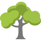 O Fallon Tree Trimming